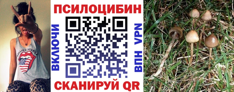OMG ТОР  Щучье  Галлюциногенные грибы Magic Shrooms 